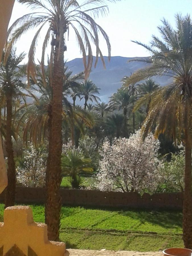Kasbah Maktob Tamnougalt Hotel Agdz Exterior photo